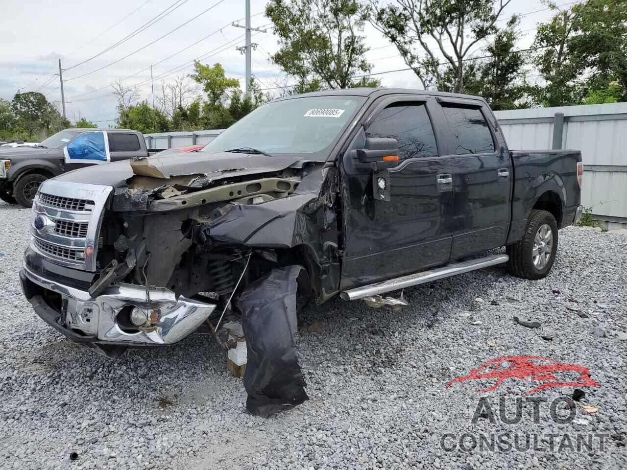 FORD F-150 2014 - 1FTEW1CM3EFA99023