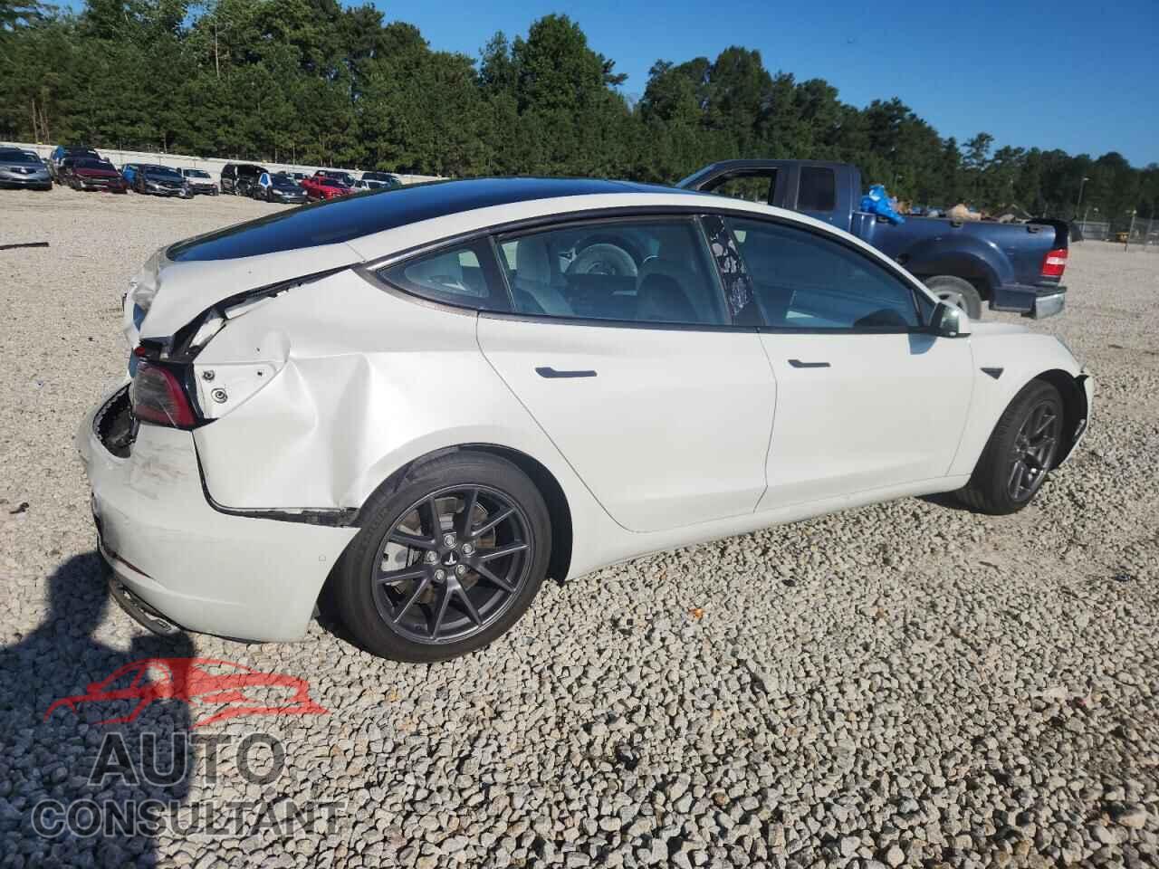 TESLA MODEL 3 2022 - 5YJ3E1EA0NF111095