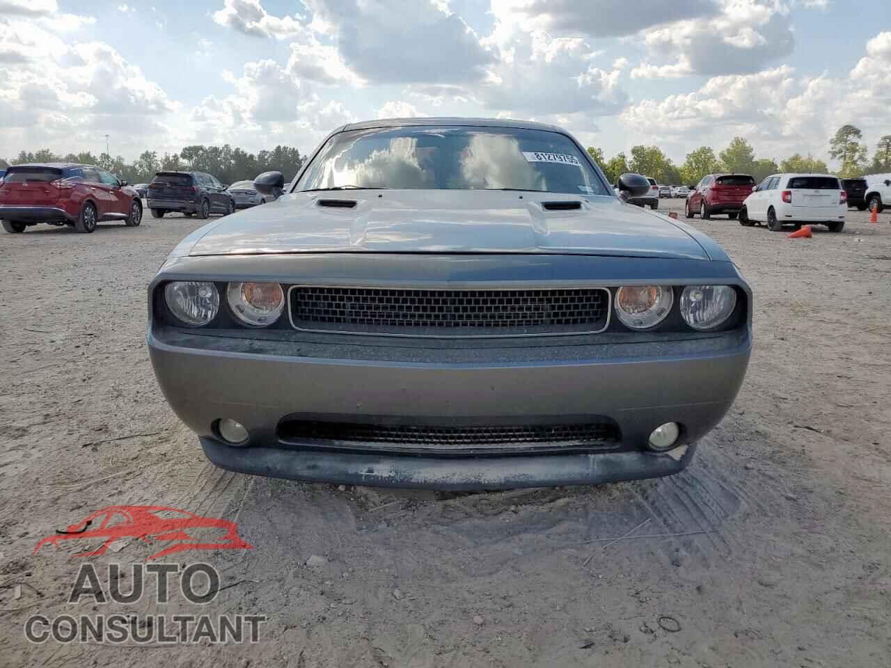 DODGE CHALLENGER 2012 - 2C3CDYBTXCH294325