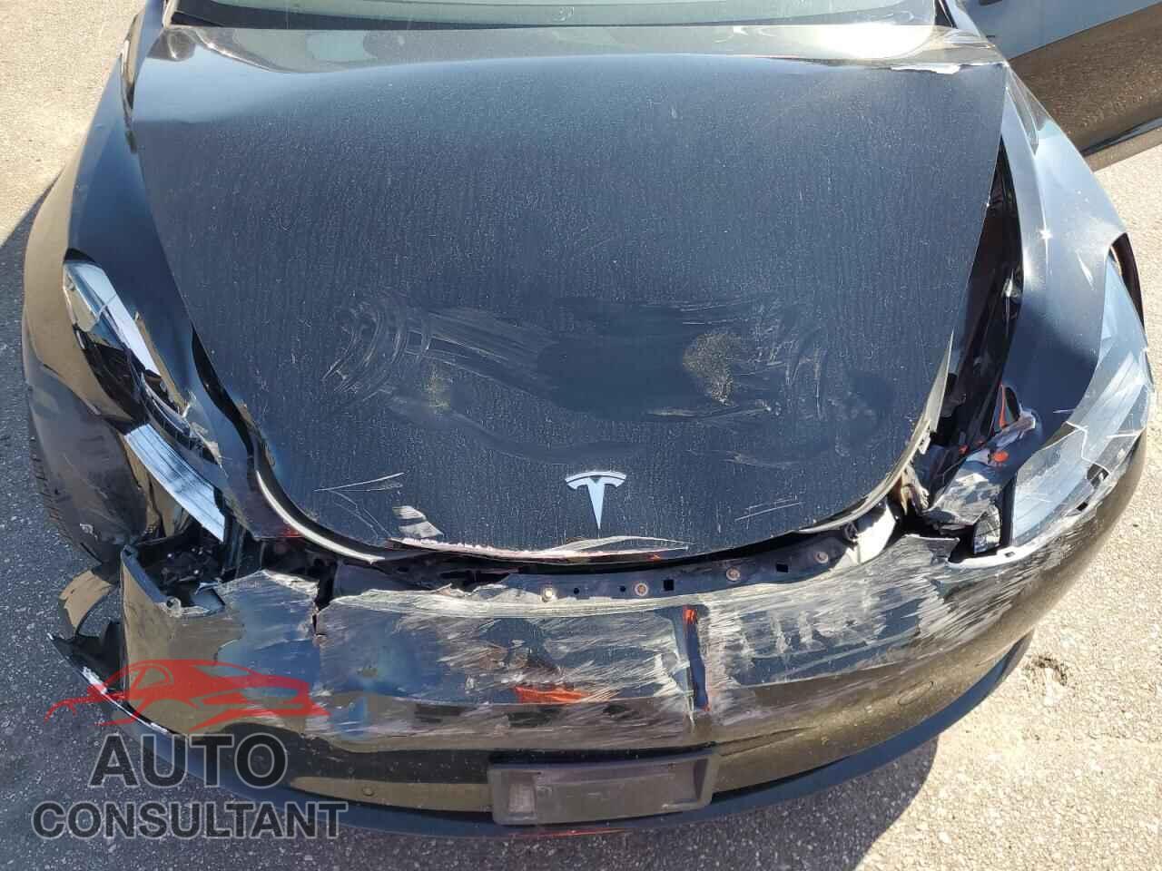 TESLA MODEL 3 2019 - 5YJ3E1EB2KF208755