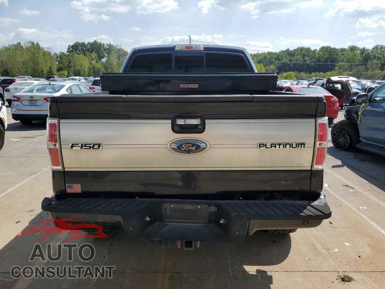 FORD F-150 2010 - 1FTFW1EV2AFD35116