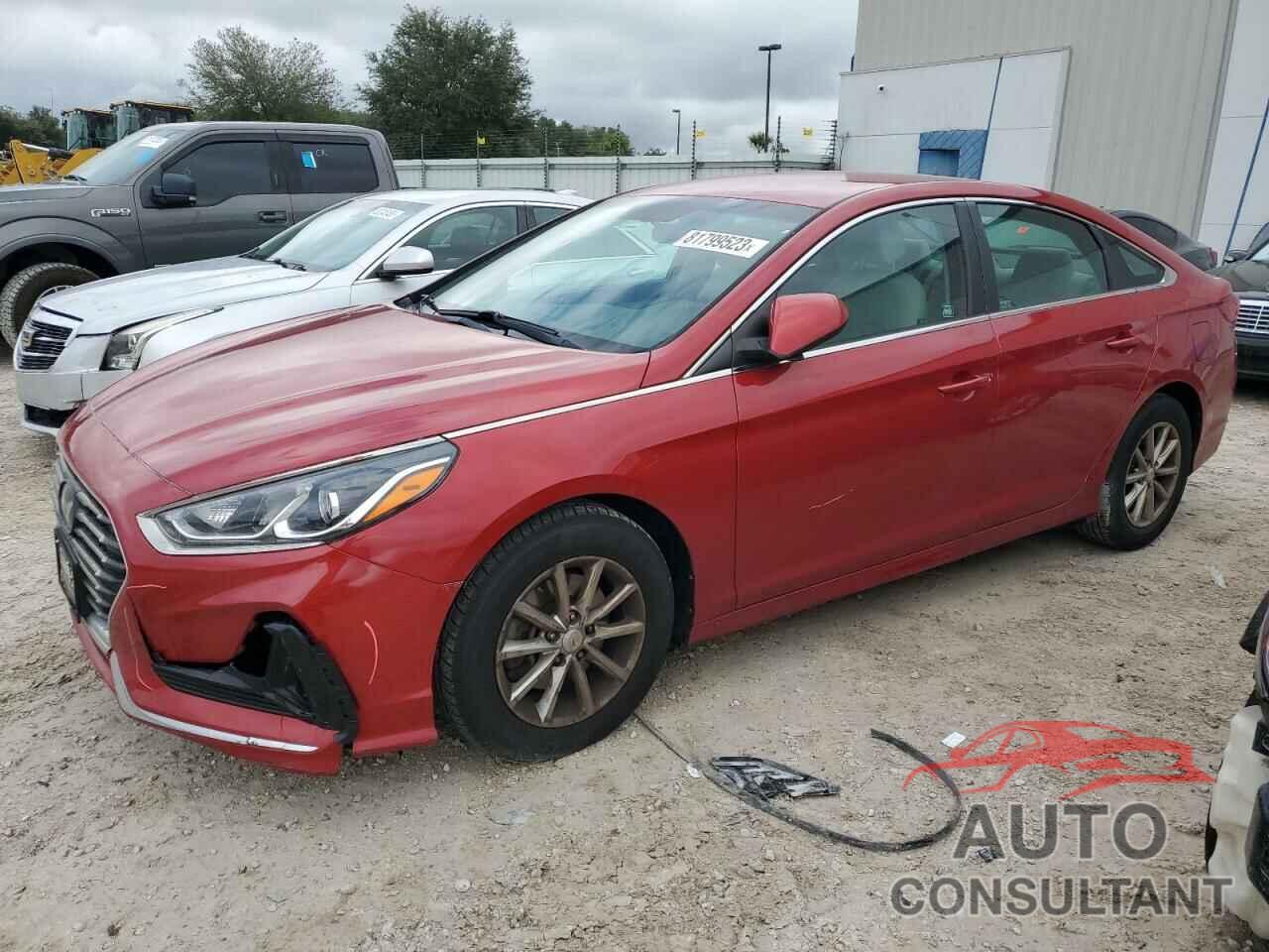 HYUNDAI SONATA 2019 - 5NPE24AF6KH801564