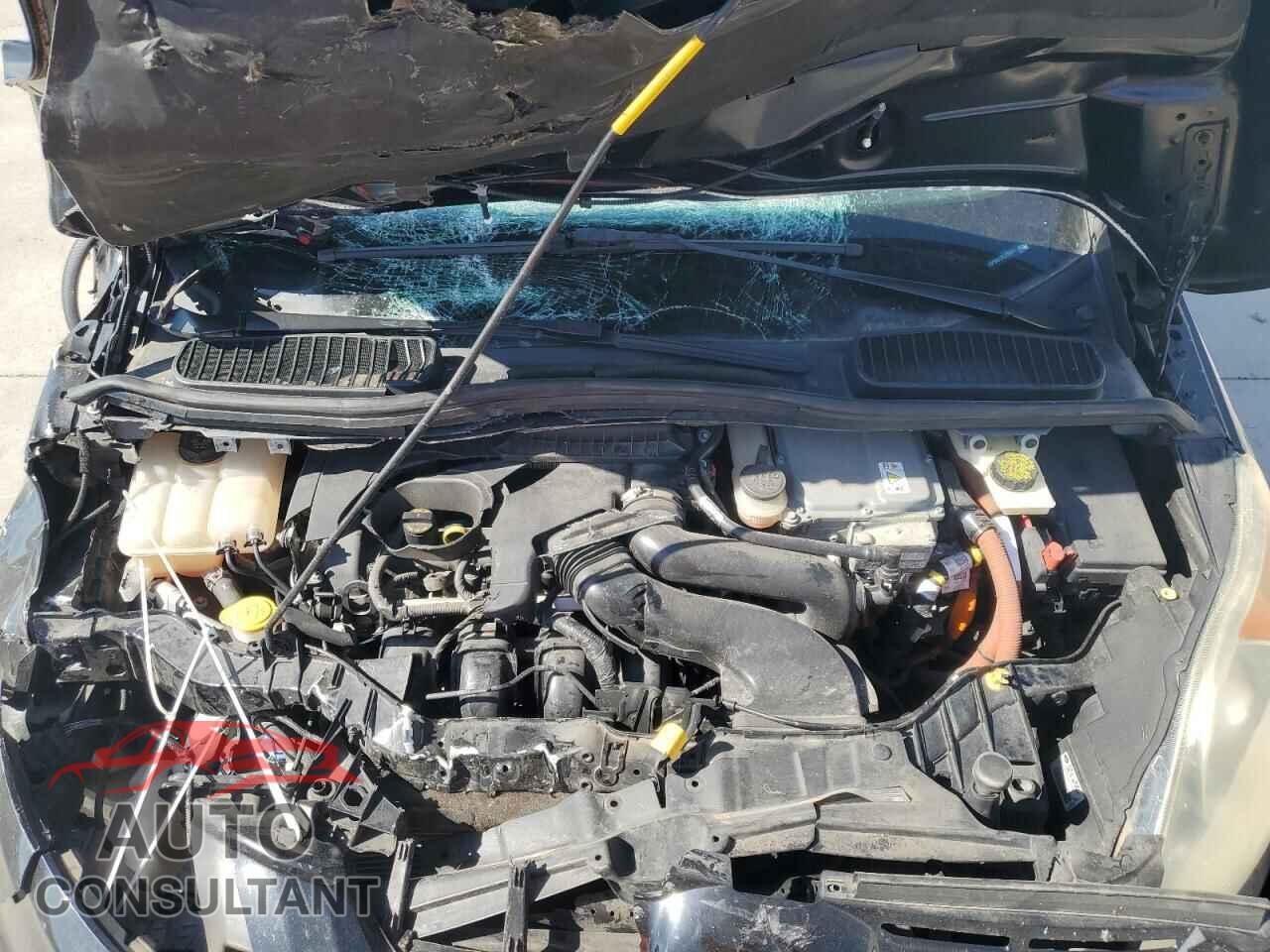FORD CMAX 2014 - 1FADP5AU2EL515671