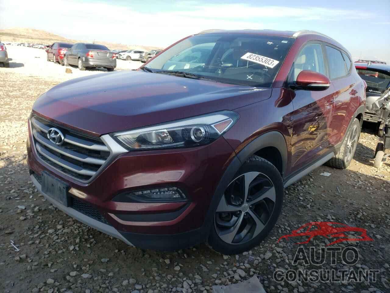 HYUNDAI TUCSON 2017 - KM8J3CA25HU455522