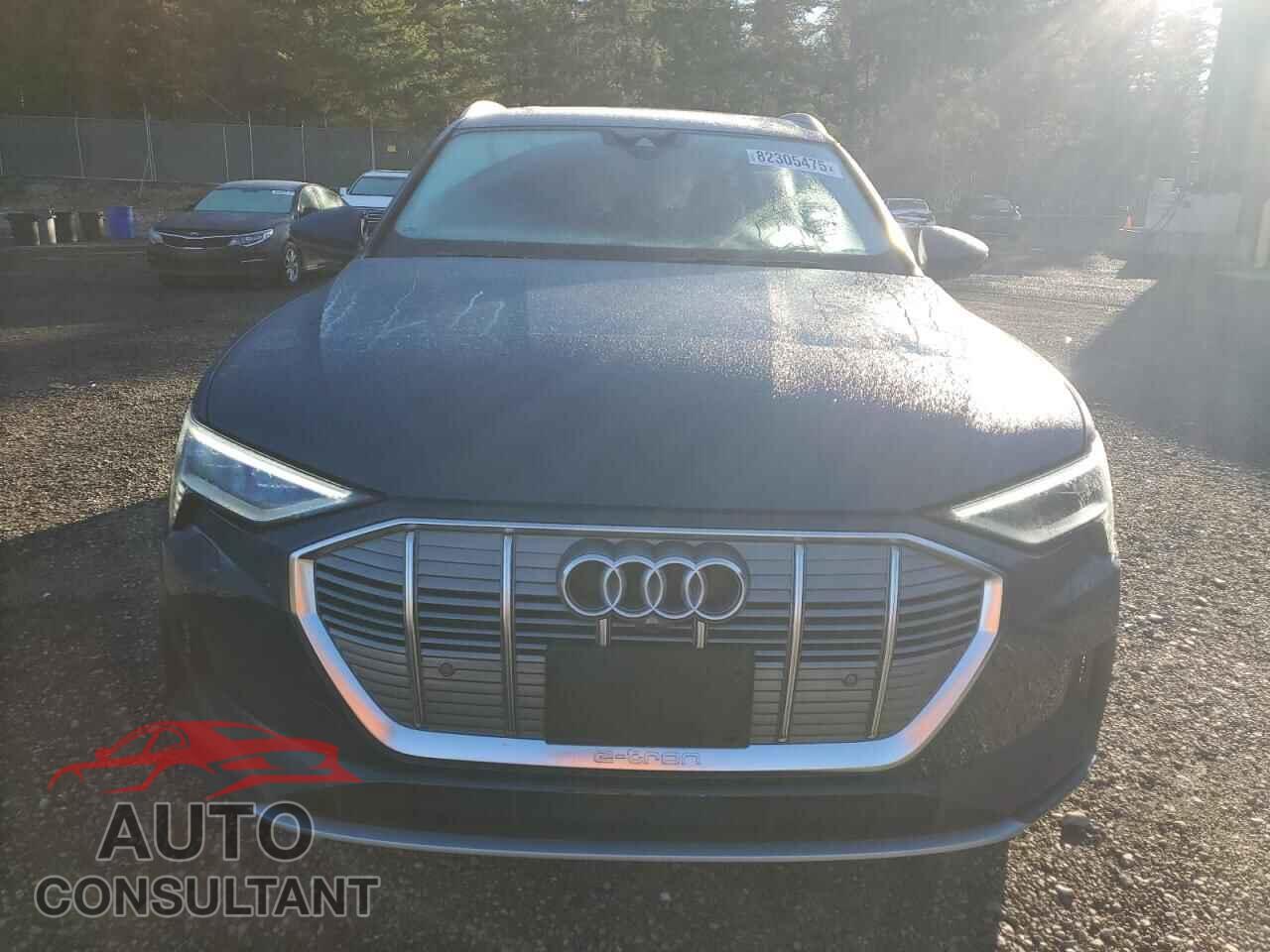 AUDI E-TRON 2019 - WA1VABGE7KB021199