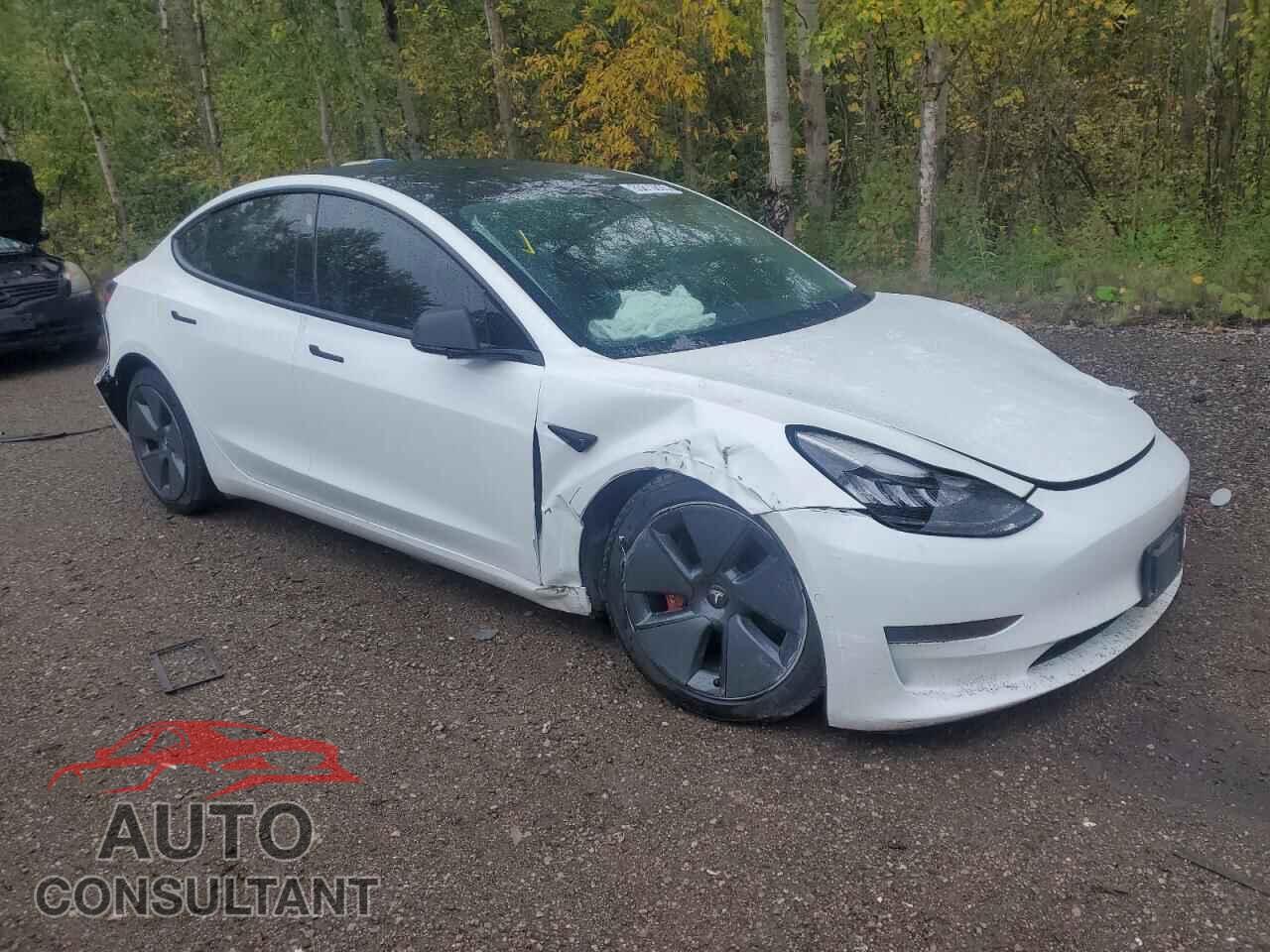 TESLA MODEL 3 2019 - 5YJ3E1EA2KF480455