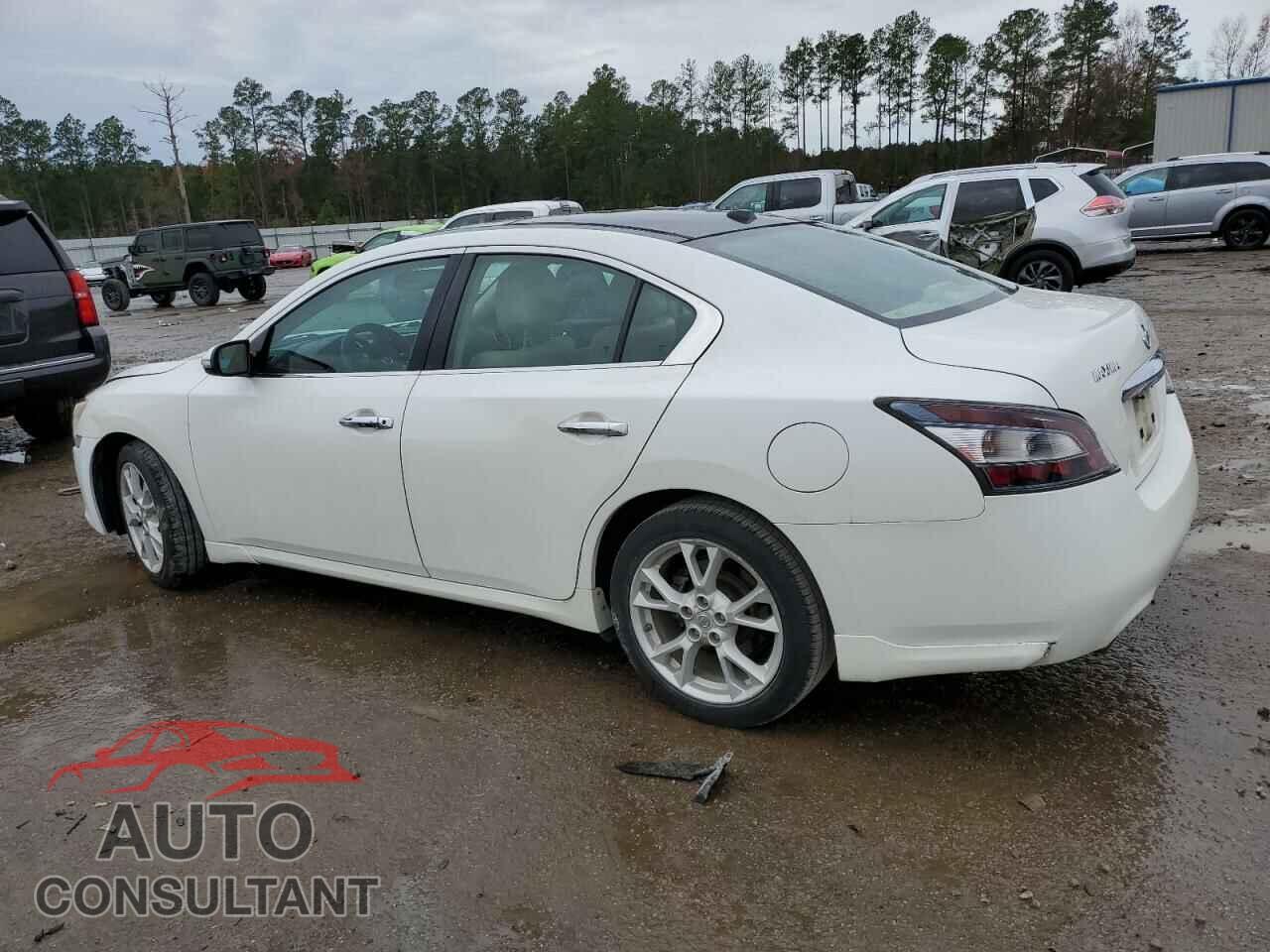 NISSAN MAXIMA 2013 - 1N4AA5AP1DC838820