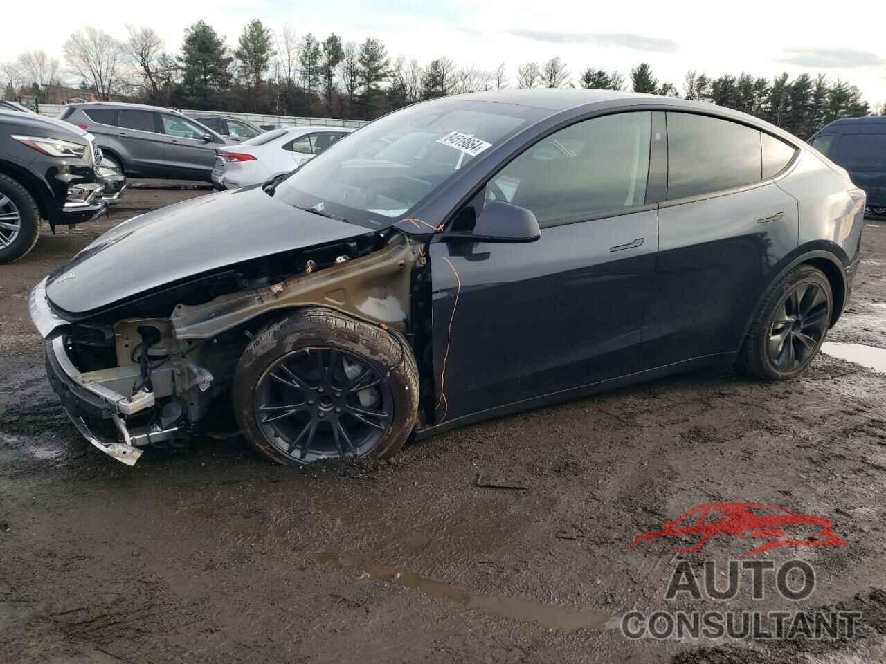 TESLA MODEL Y 2024 - 7SAYGDED8RF133639