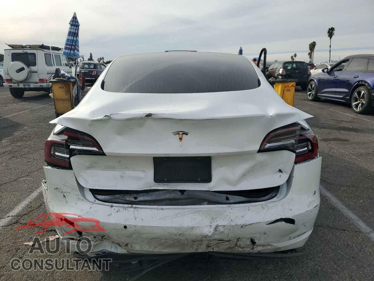 TESLA MODEL 3 2020 - 5YJ3E1EA1LF631299