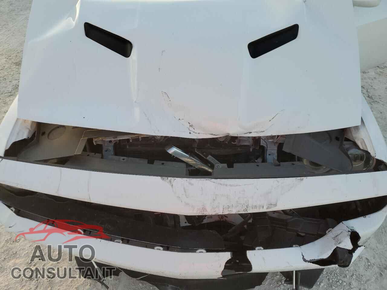 DODGE CHALLENGER 2019 - 2C3CDZAG7KH723557