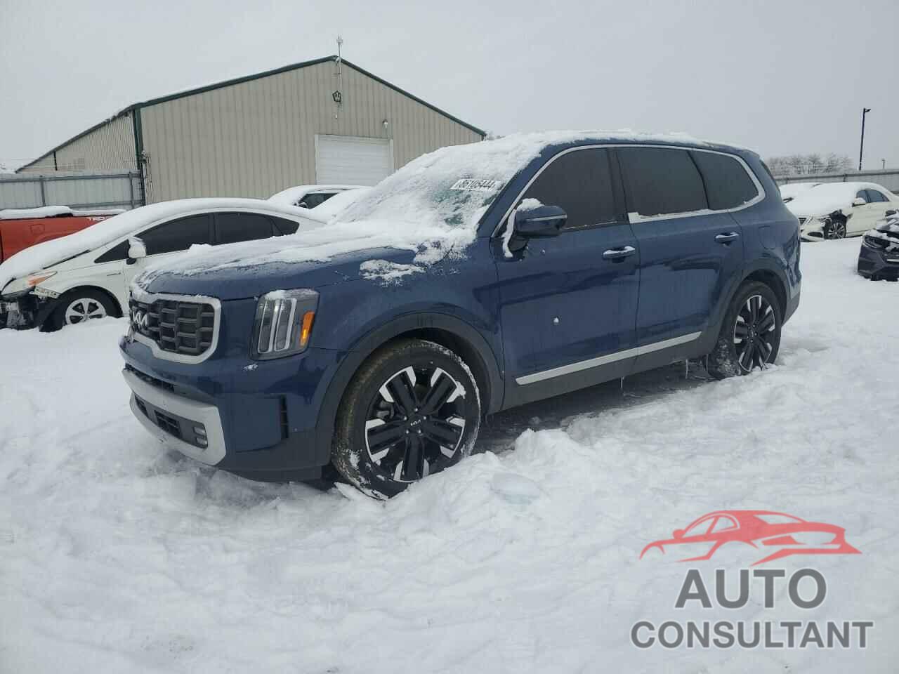 KIA TELLURIDE 2024 - 5XYP5DGC9RG419754