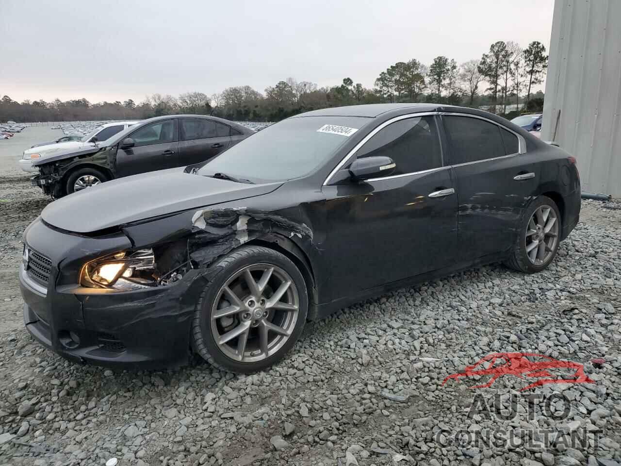 NISSAN MAXIMA 2011 - 1N4AA5APXBC856052