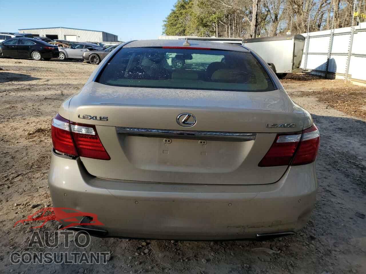 LEXUS LS460 2009 - JTHBL46F695089980