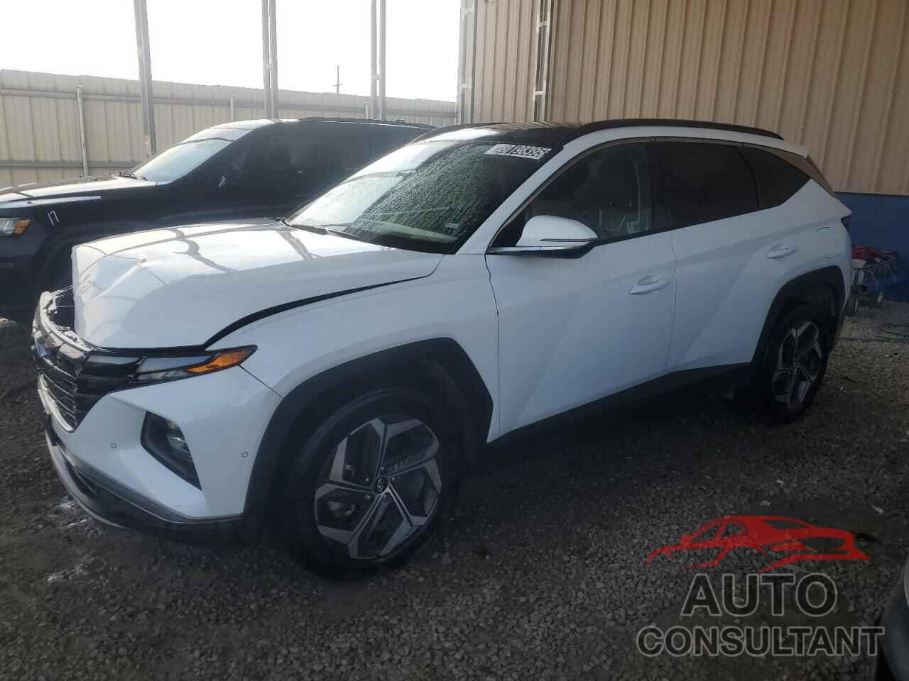 HYUNDAI TUCSON 2024 - 5NMJECDE9RH346168