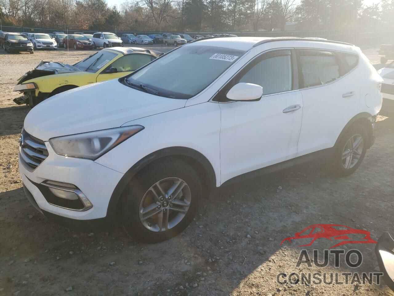 HYUNDAI SANTA FE 2017 - 5NMZUDLBXHH013401