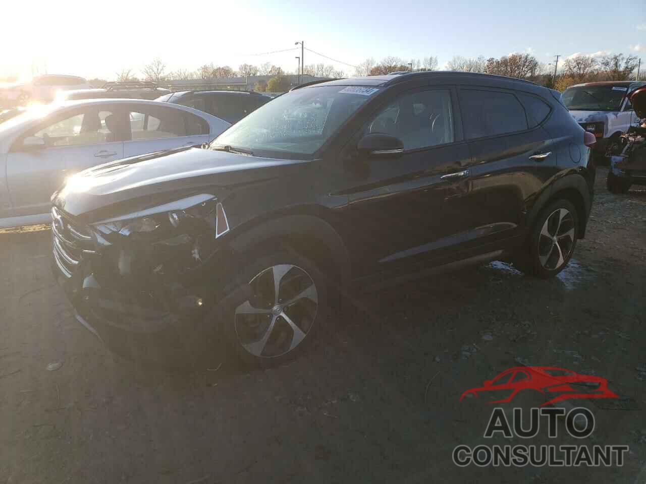 HYUNDAI TUCSON 2016 - KM8J3CA21GU070845