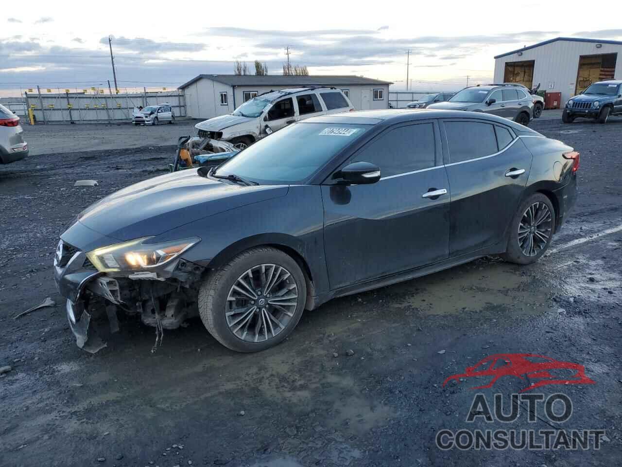 NISSAN MAXIMA 2016 - 1N4AA6AP4GC426661
