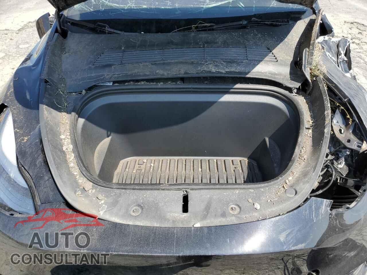 TESLA MODEL Y 2024 - 7SAYGDED6RF206541