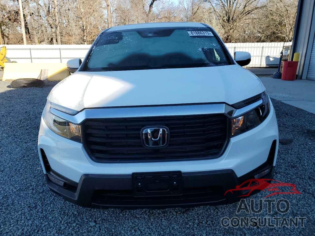 HONDA RIDGELINE 2021 - 5FPYK3F52MB025515