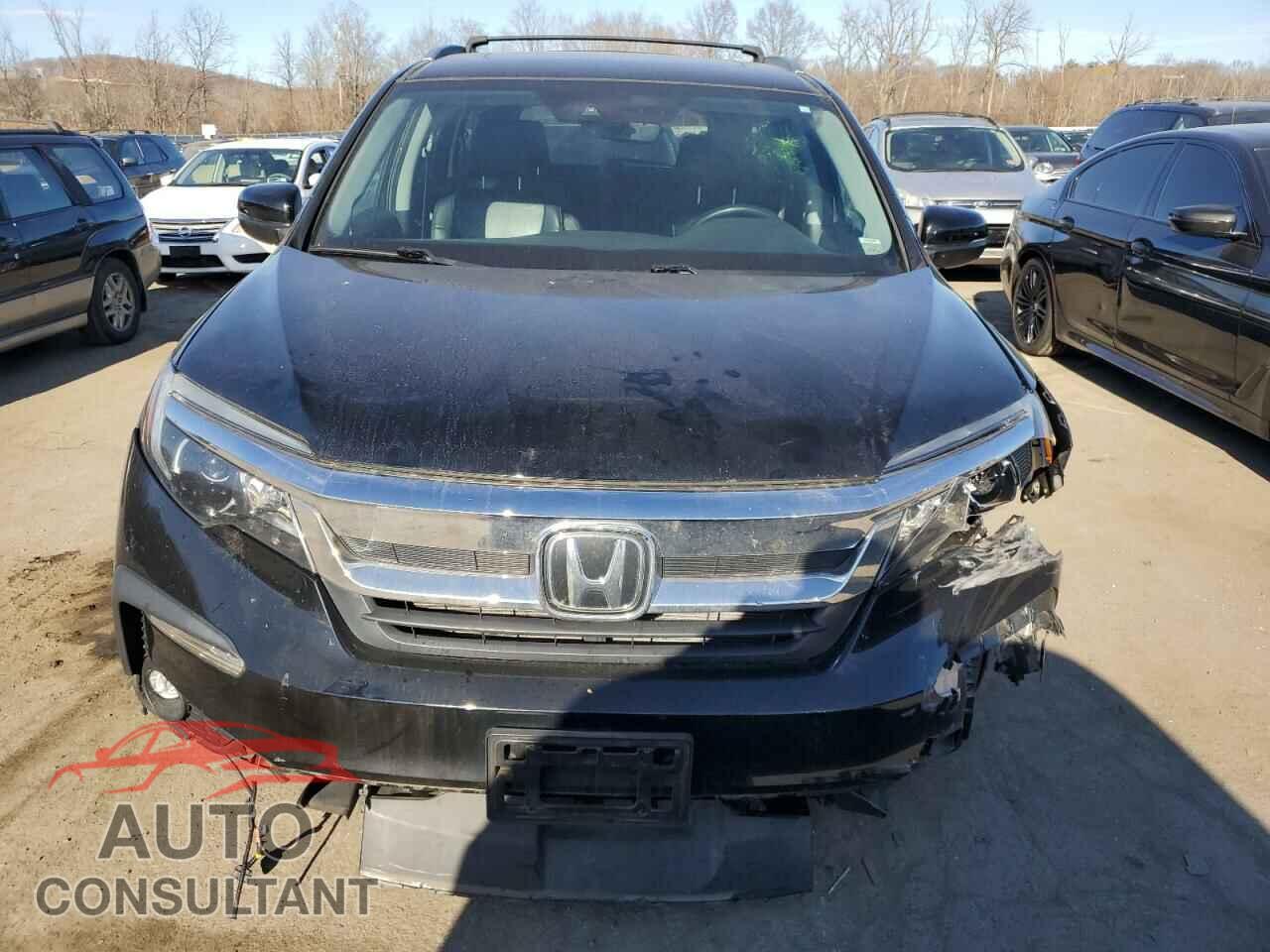 HONDA PILOT 2019 - 5FNYF6H51KB080384
