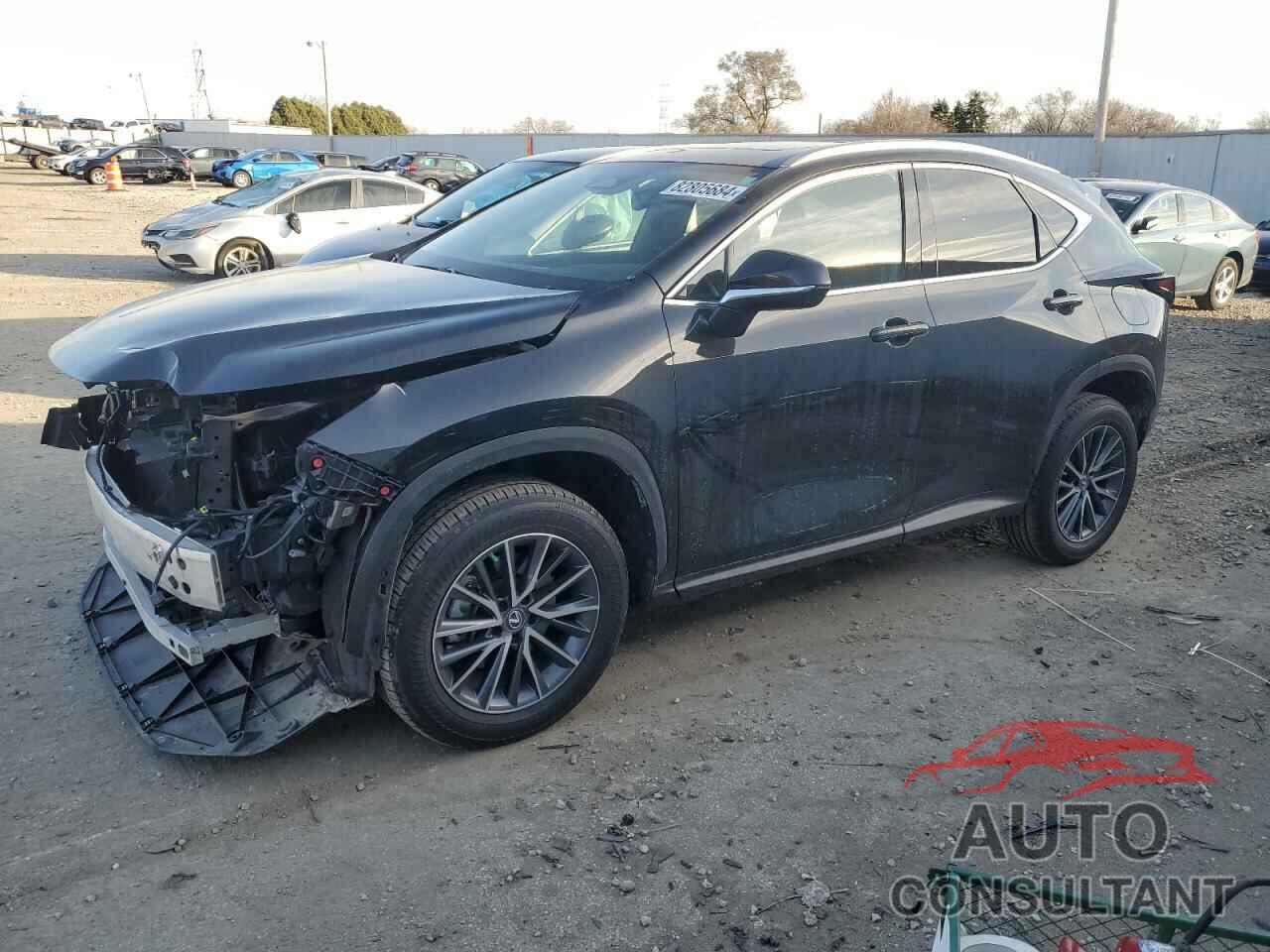 LEXUS NX 250 2022 - 2T2ADCEZ2NC002388