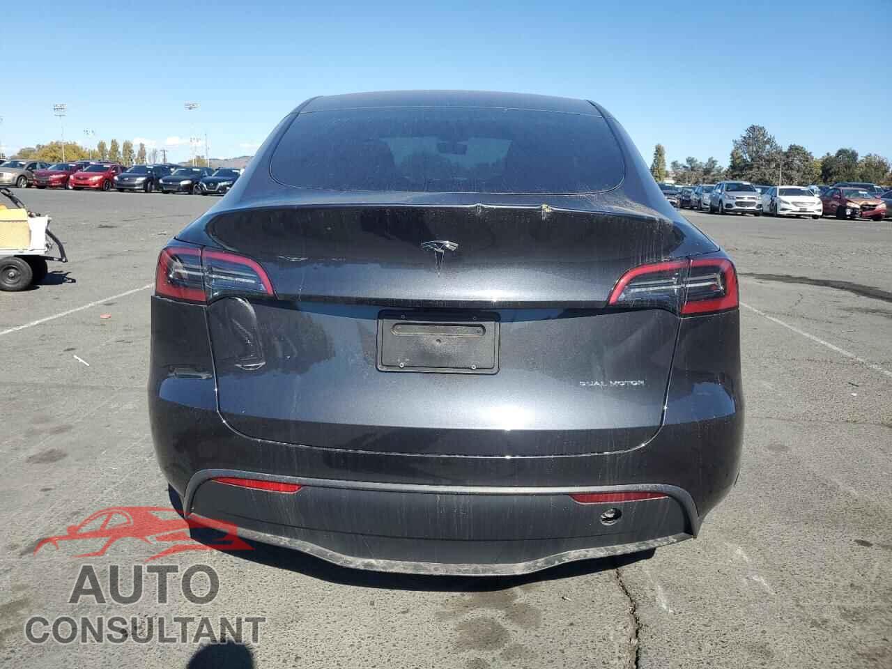 TESLA MODEL Y 2024 - 7SAYGAEE7RF002824