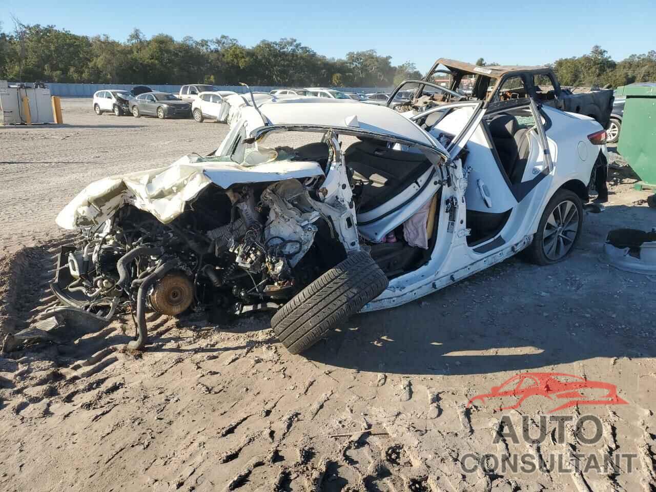 KIA OPTIMA 2019 - 5XXGT4L36KG288739