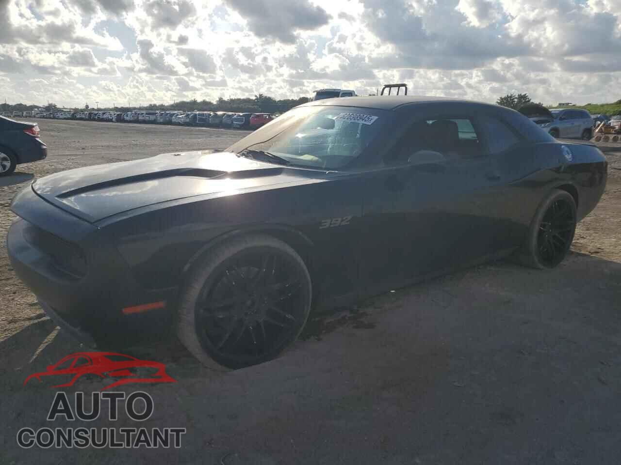 DODGE CHALLENGER 2013 - 2C3CDYDJ6DH687977