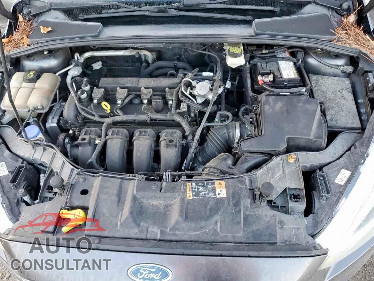 FORD FOCUS 2017 - 1FADP3E26HL307701