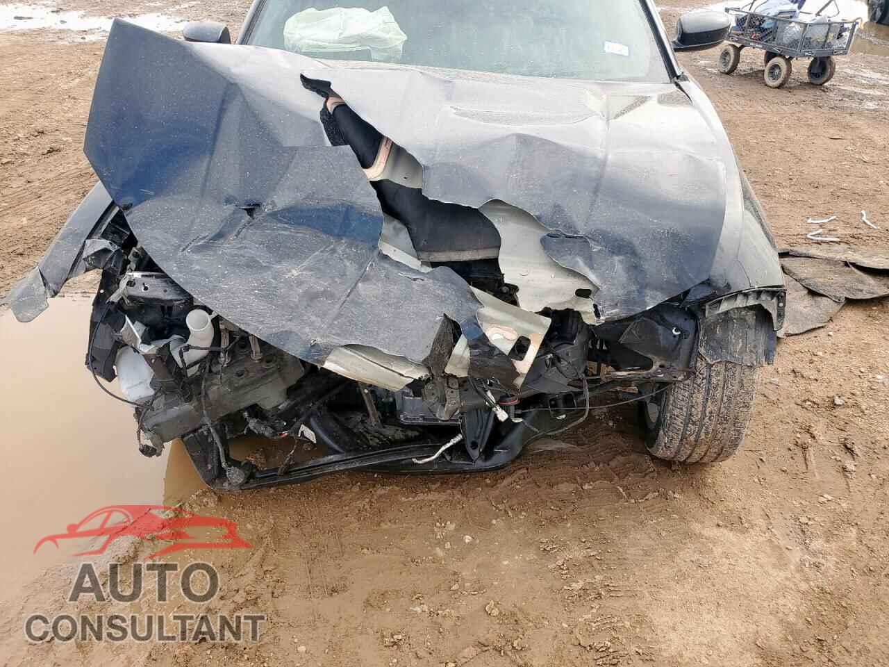 DODGE CHARGER 2021 - 2C3CDXBGXMH608537