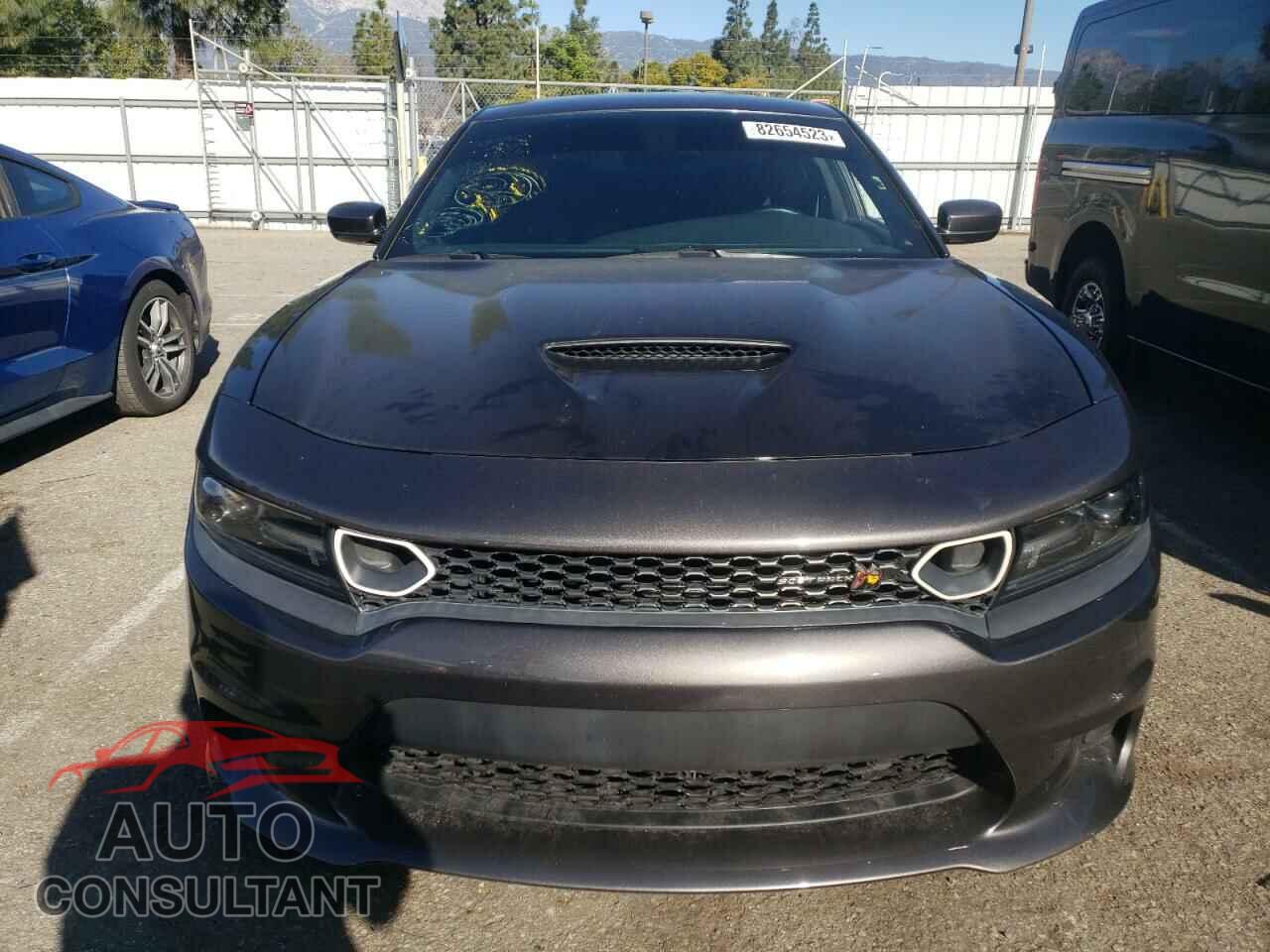 DODGE CHARGER 2019 - 2C3CDXGJ3KH681573