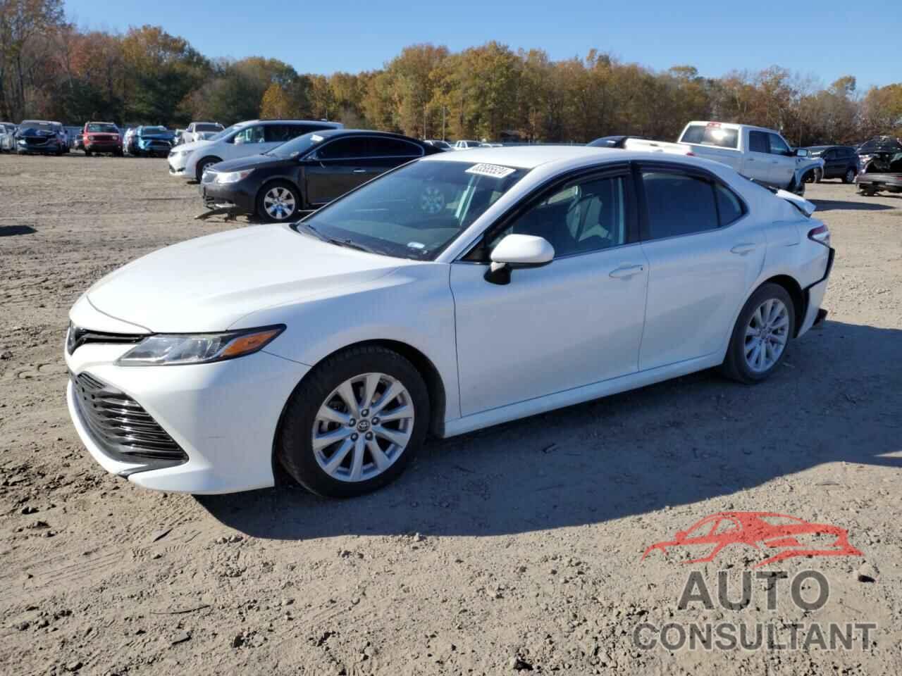 TOYOTA CAMRY 2019 - 4T1B11HKXKU239838