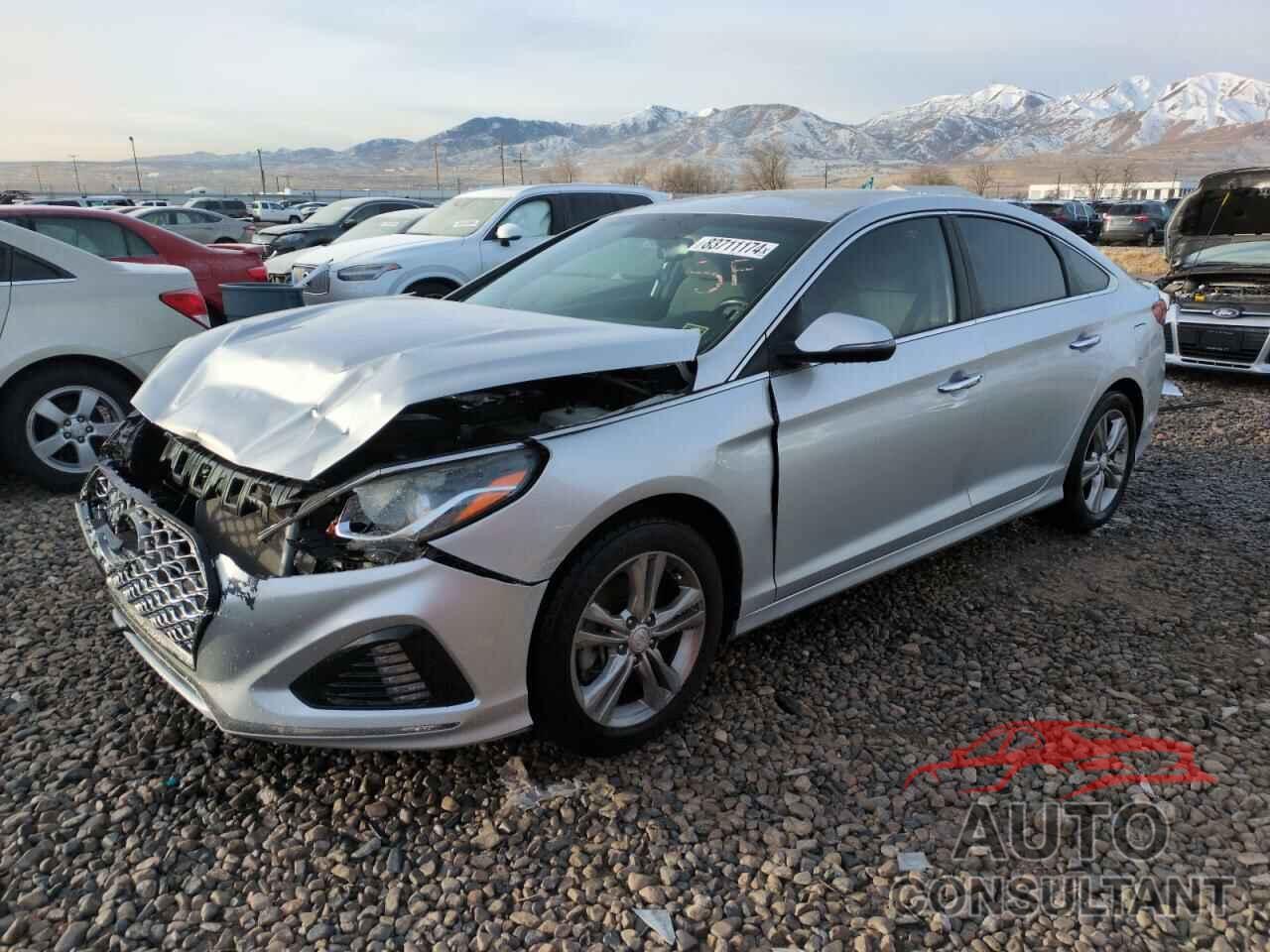 HYUNDAI SONATA 2019 - 5NPE34AF5KH779070