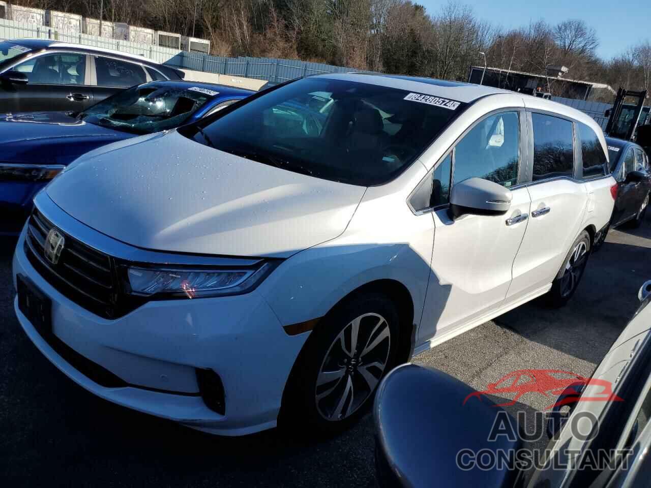 HONDA ODYSSEY 2024 - 5FNRL6H86RB009103