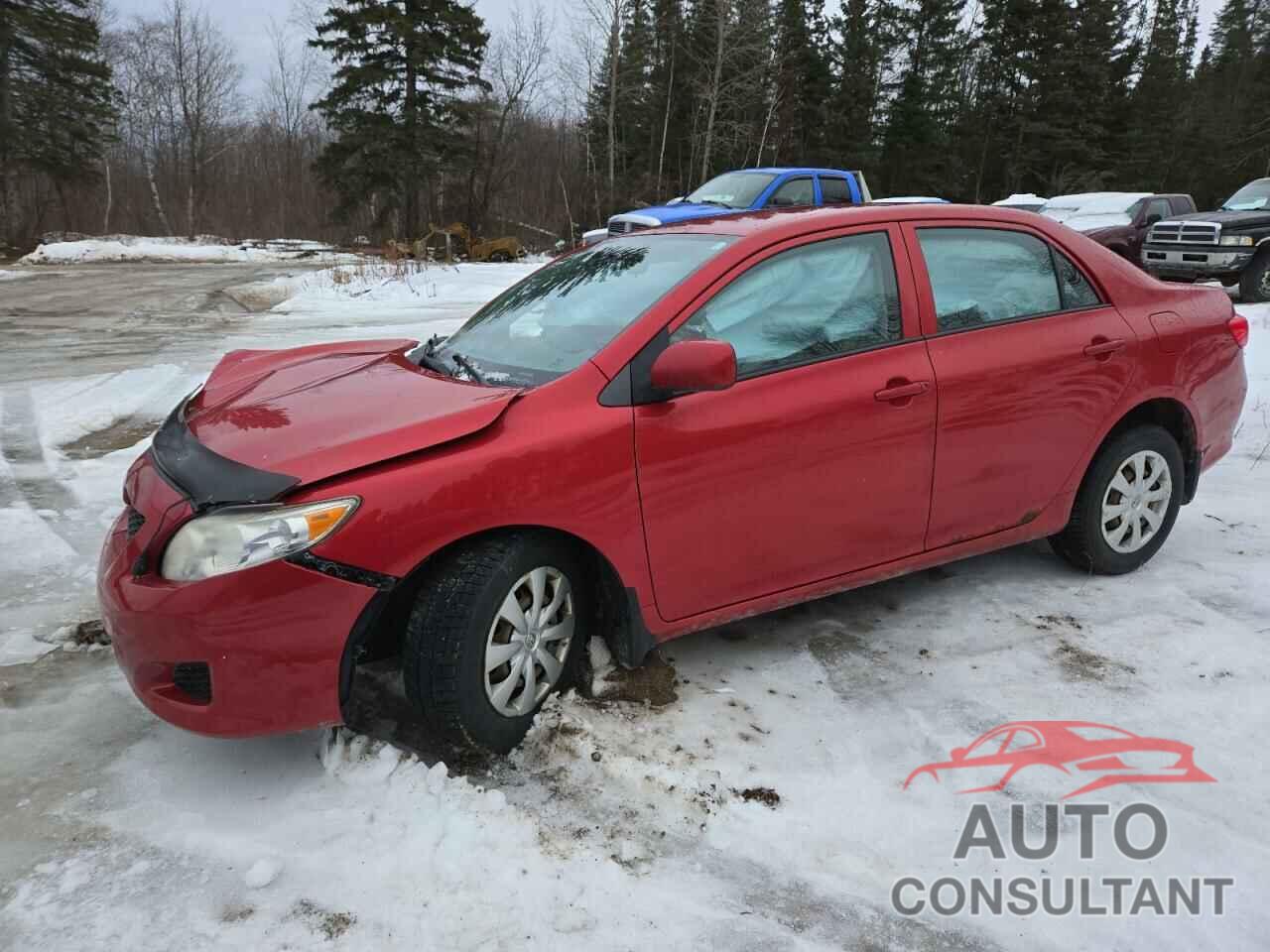 TOYOTA COROLLA 2010 - 2T1BU4EE4AC341269