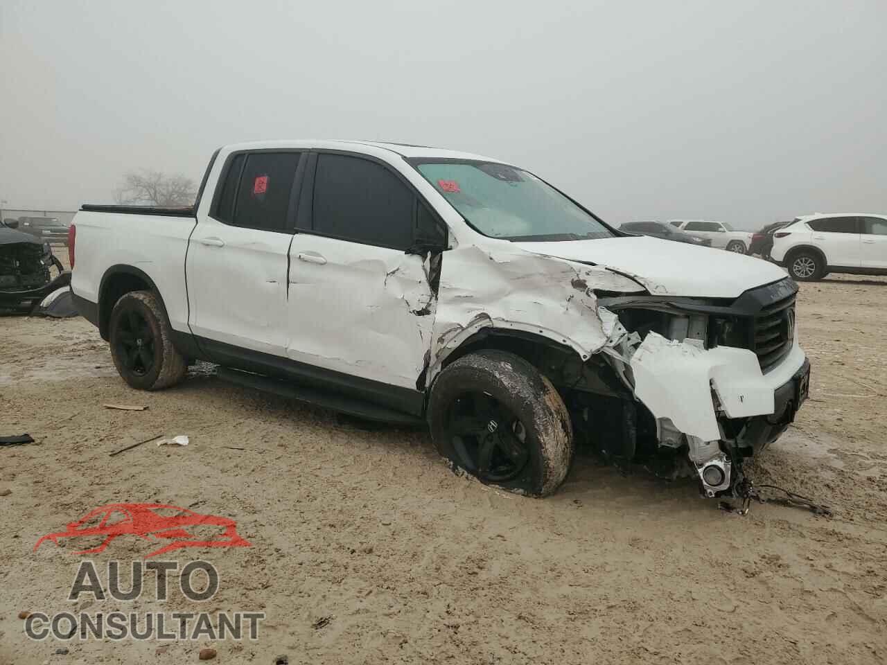 HONDA RIDGELINE 2021 - 5FPYK3F88MB018367