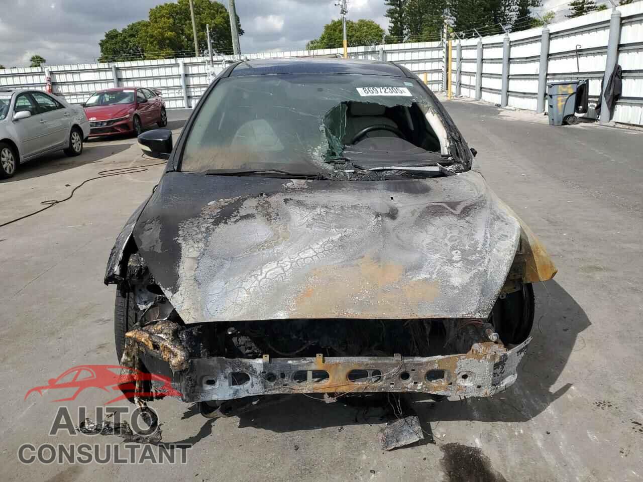 FORD FOCUS 2016 - 1FADP3N20GL307871
