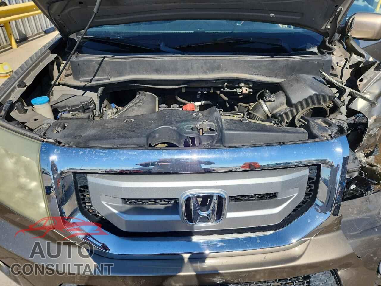 HONDA PILOT 2009 - 5FNYF38429B011929