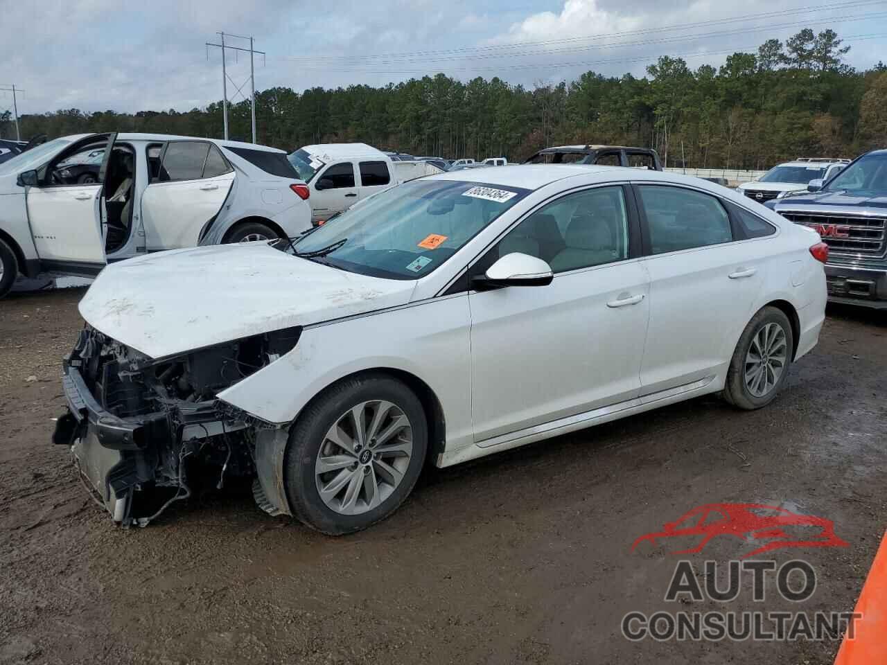 HYUNDAI SONATA 2017 - 5NPE34AF6HH566704