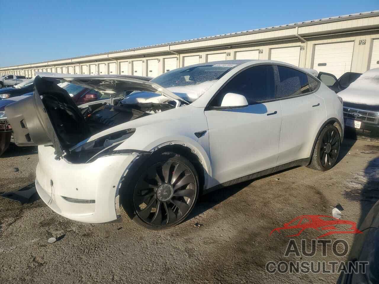 TESLA MODEL Y 2022 - 7SAYGDEFXNF381791