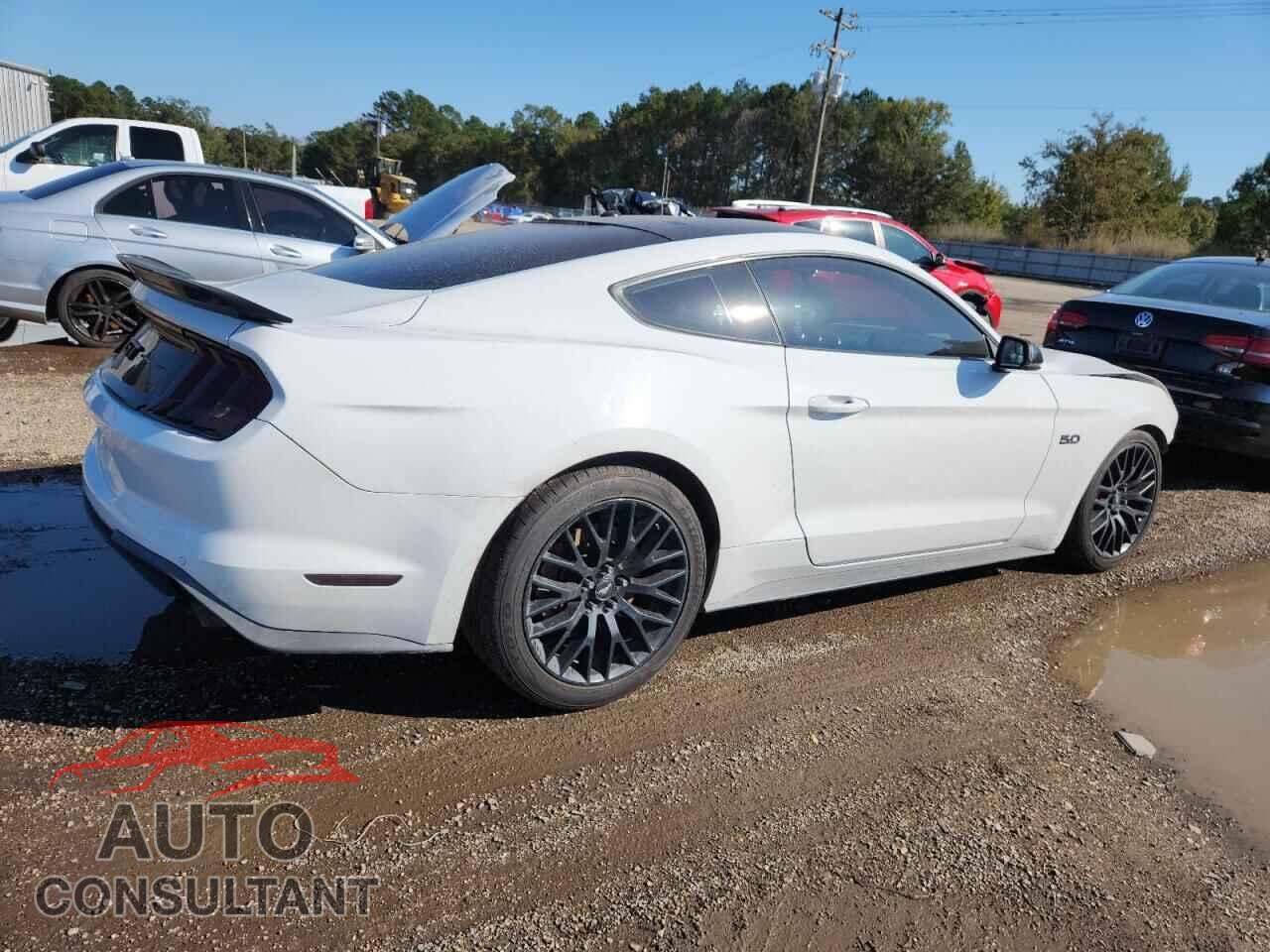 FORD MUSTANG 2019 - 1FA6P8CF0K5151663