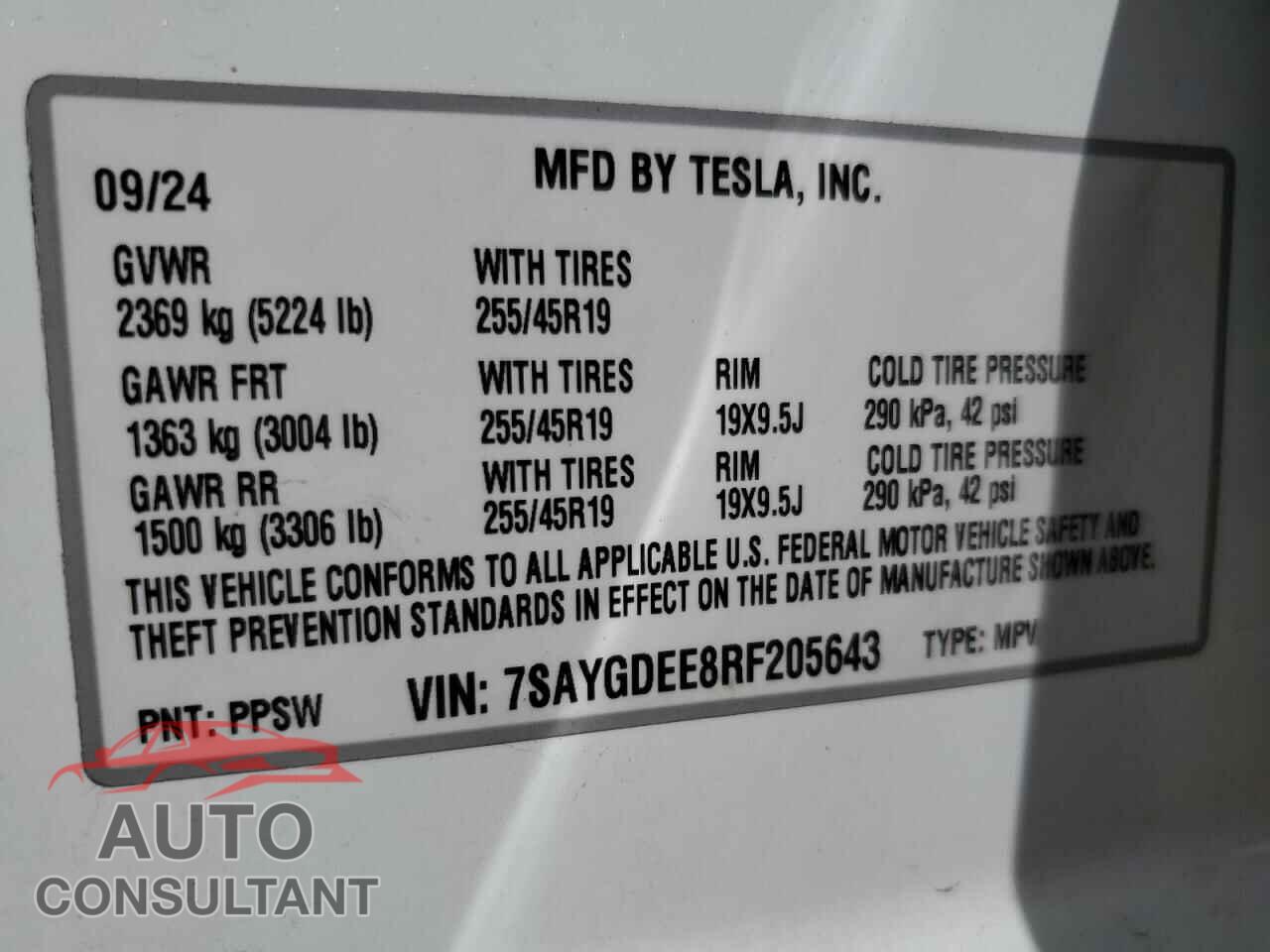 TESLA MODEL Y 2024 - 7SAYGDEE8RF205643