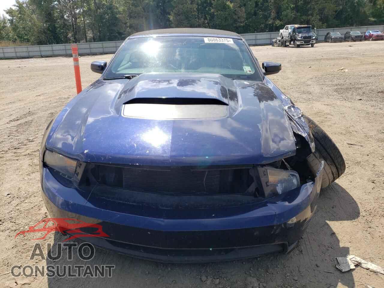 FORD MUSTANG 2012 - 1ZVBP8FF0C5241642