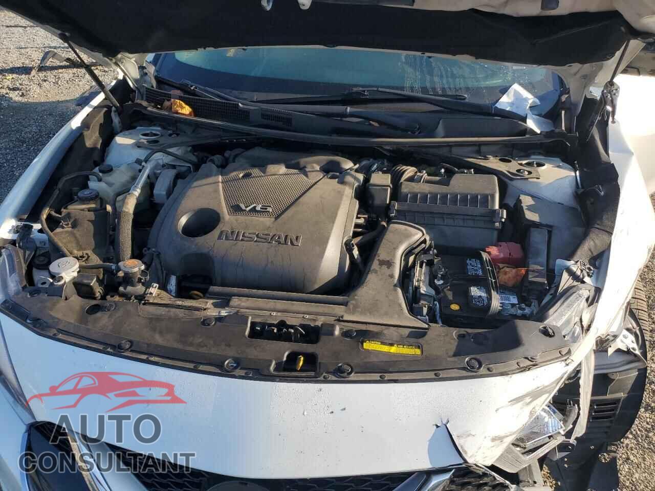 NISSAN MAXIMA 2017 - 1N4AA6AP1HC414968