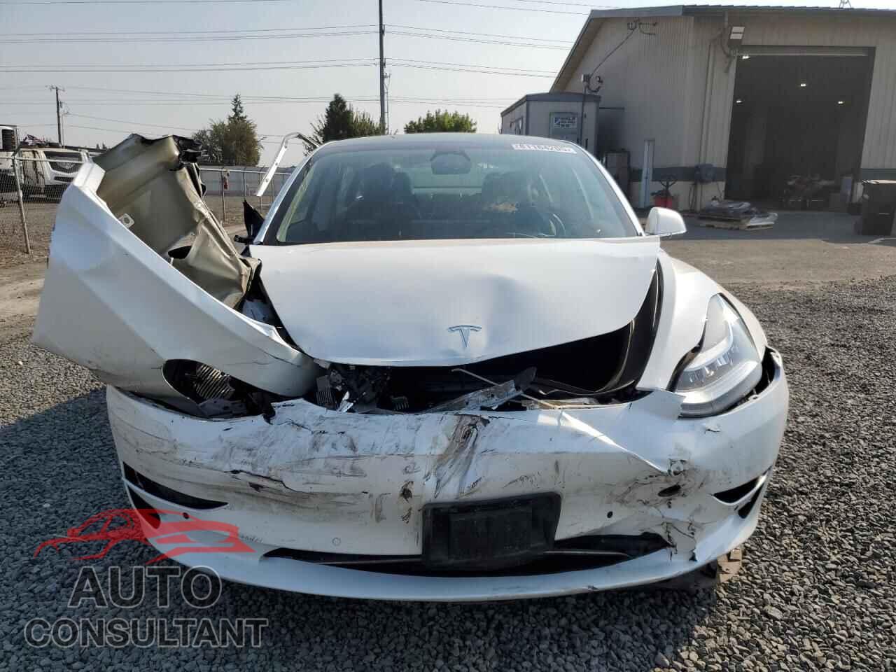 TESLA MODEL 3 2019 - 5YJ3E1EB9KF452905