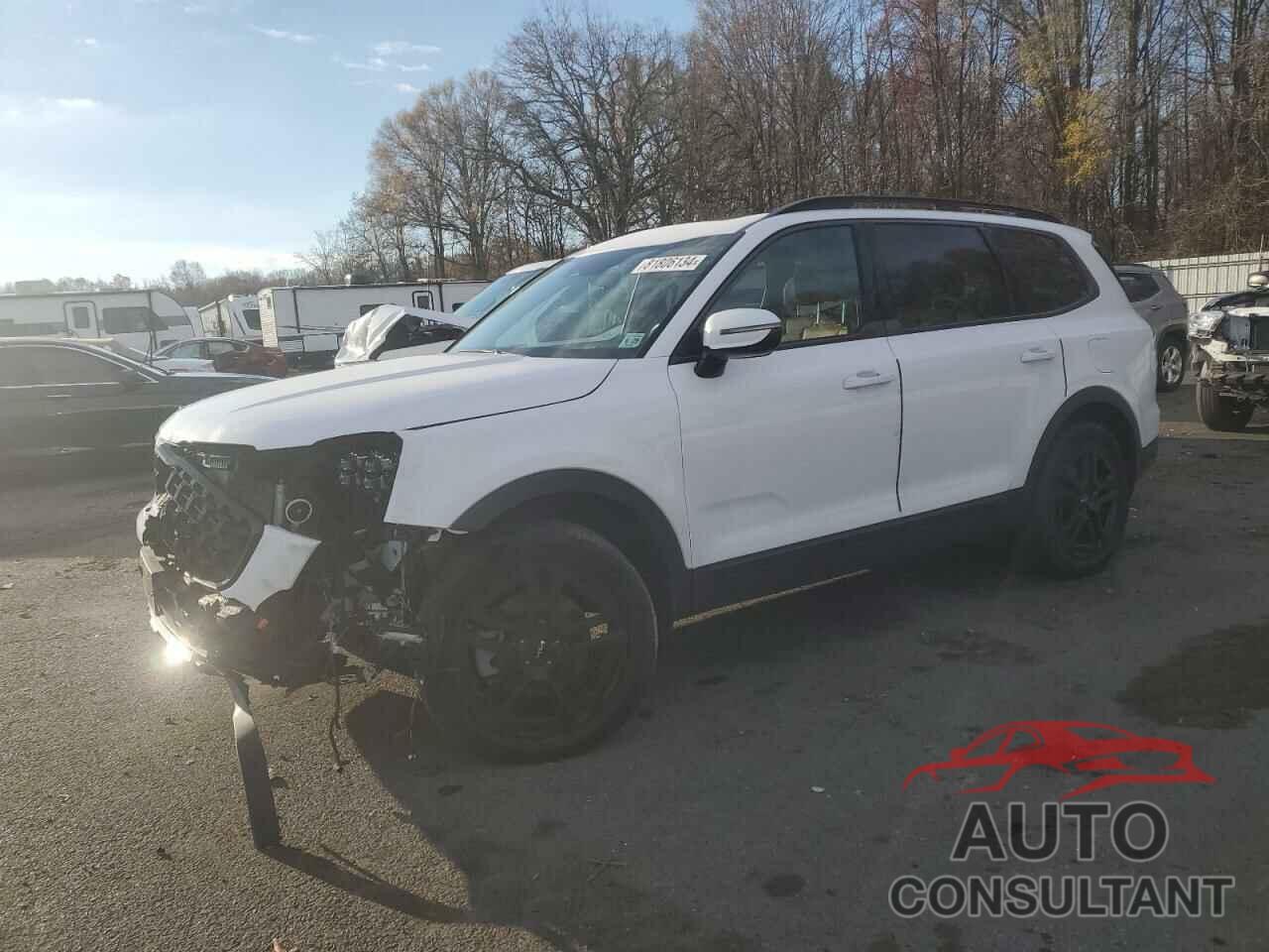 KIA TELLURIDE 2024 - 5XYP5DGC5RG533802