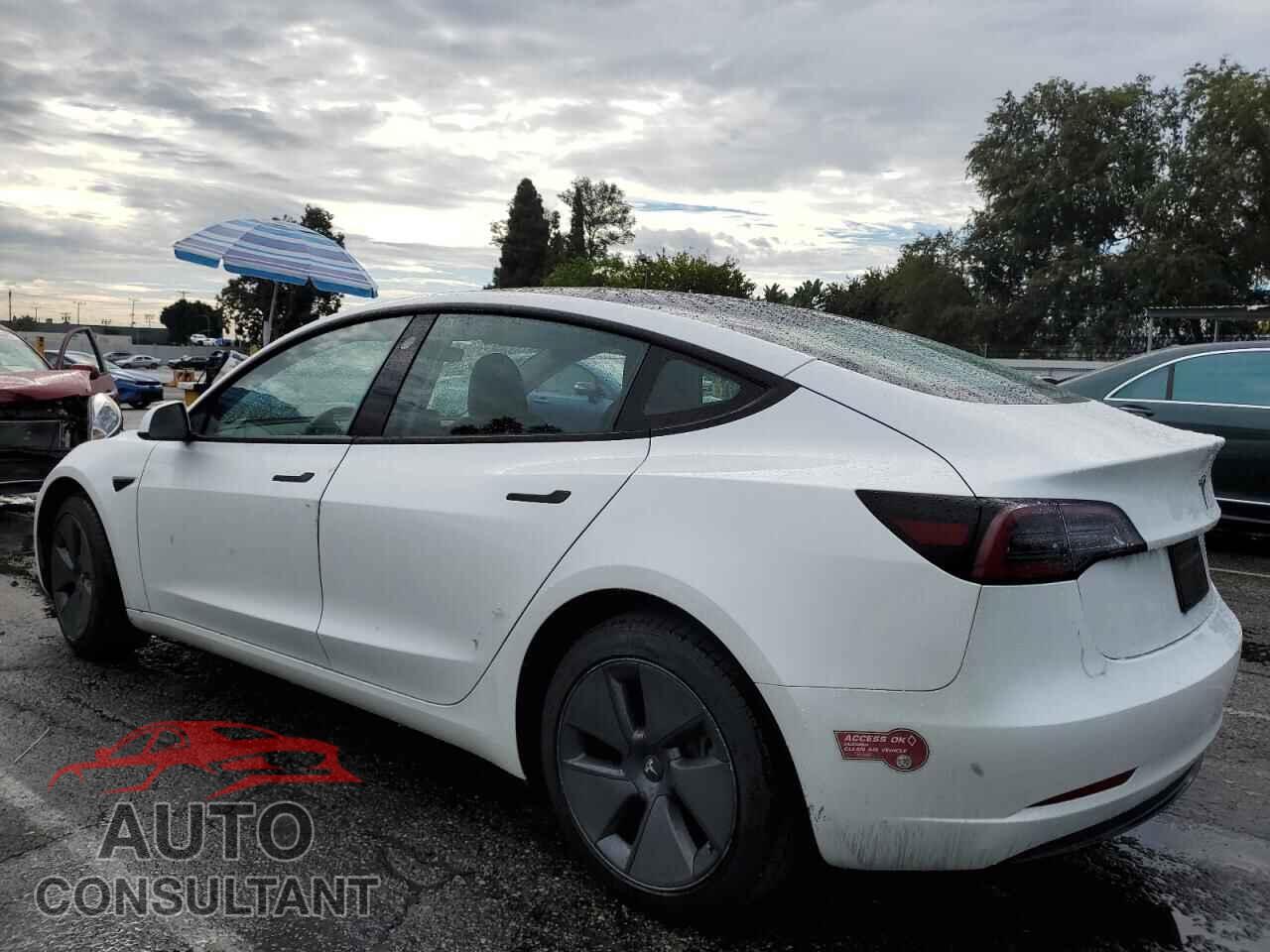 TESLA MODEL 3 2023 - 5YJ3E1EAXPF564532