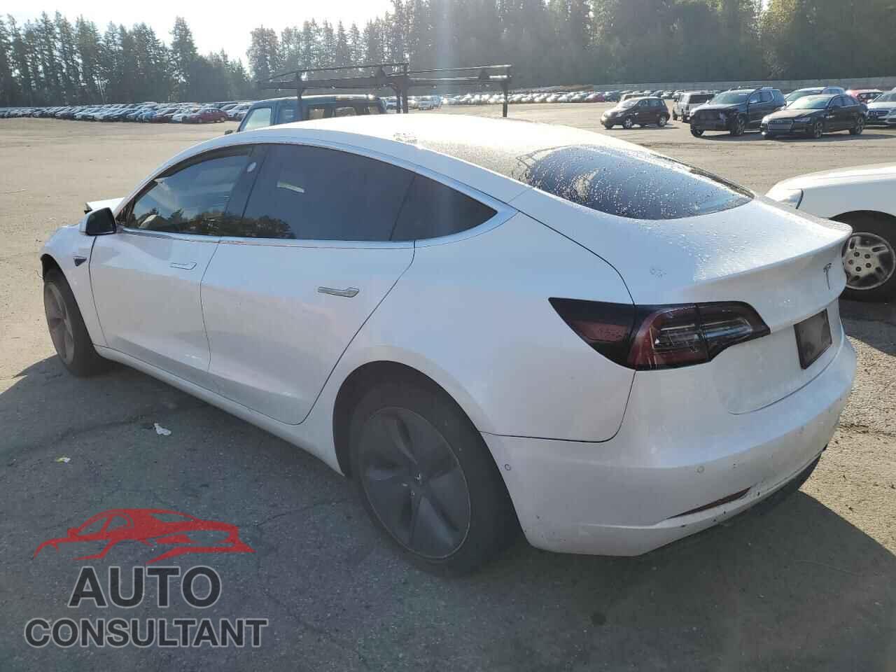 TESLA MODEL 3 2019 - 5YJ3E1EA3KF485843