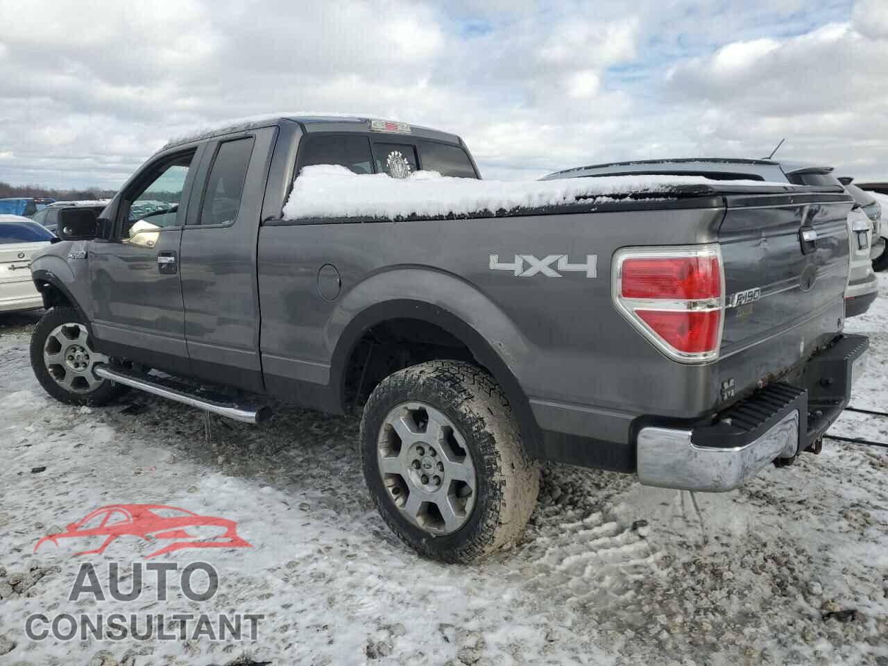 FORD F-150 2010 - 1FTFX1EV7AFC83964