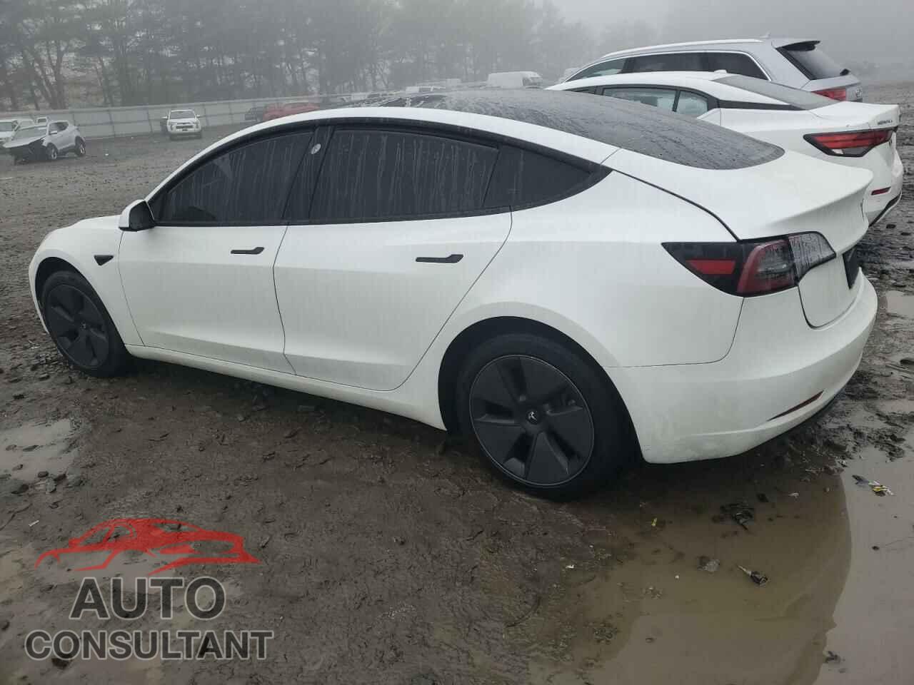 TESLA MODEL 3 2023 - 5YJ3E1EA5PF602314